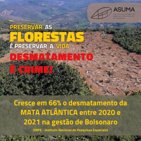 Floresta desmatada