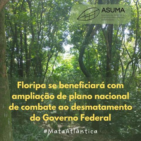 Foto do bioma Mata Atlântica