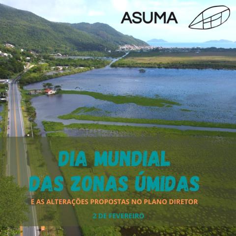 Foto de zona úmida