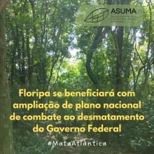 Foto do bioma Mata Atlântica